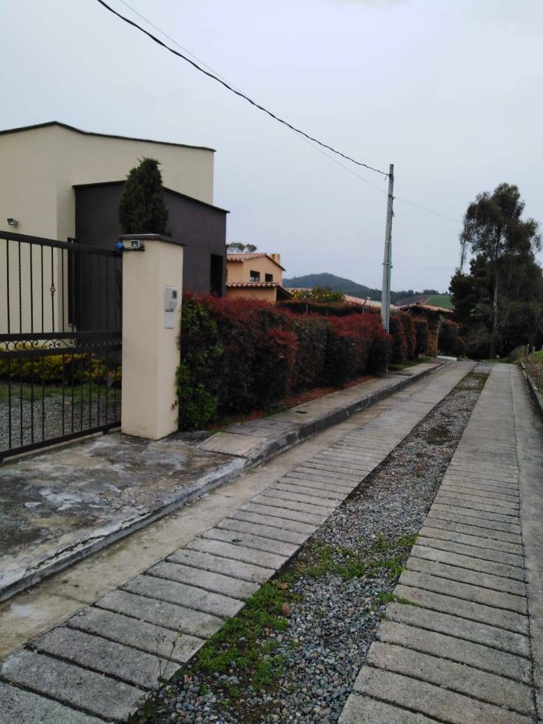Vereda El Tambo, San Pedro de los Milagros, Antioquia, Colombia 5